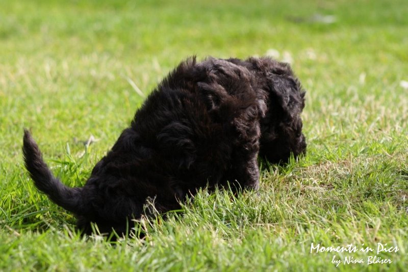 Arc-en-ciel Antares 2009-06-17 (21).JPG